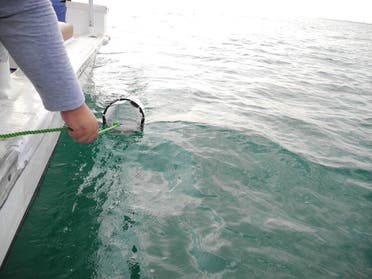 تم جمع عينات مياه البحر من 14 محطة على طول سواحل البلاد لقياس كمية المواد البلاستيكية الدقيقة بناءً على تضاريس وتضاريس المناطق الساحلية وديناميات التيارات البحرية.  (زودت)