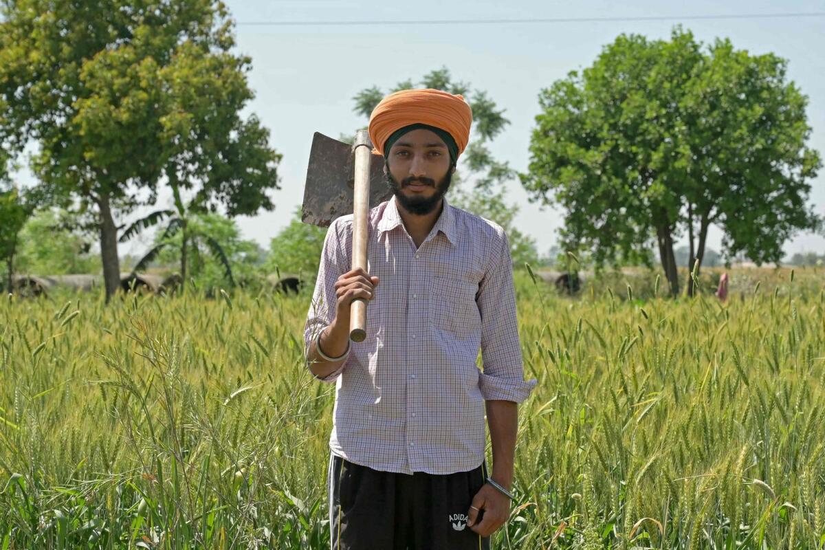 في هذه الصورة التي التقطت في 5 أبريل 2024، يقف غوربارتاب سينغ، المزارع الذي سيصوت لأول مرة في الانتخابات العامة المقبلة في الهند، أمام حقل القمح الخاص به في قرية تشابا على مشارف أمريتسار.  – وكالة فرانس برس